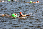 Заплыв «Swimcup-Волга 2022» пройдёт в Кинешме 3 июля