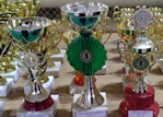 Кинешемцы – победители и призеры турнира по панкратиону 